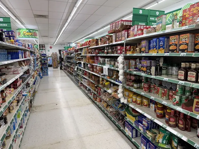 Dollar Tree in Tuscaloosa, AL