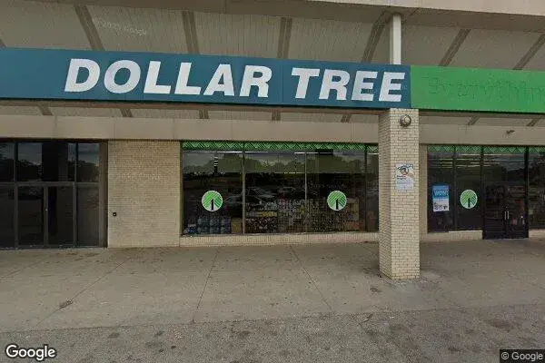 Dollar Tree in Flint, MI