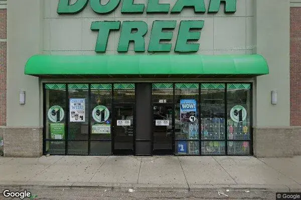Dollar Tree in Flint, MI