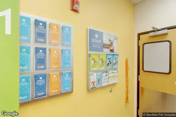 Dollar Tree in Peoria, AZ