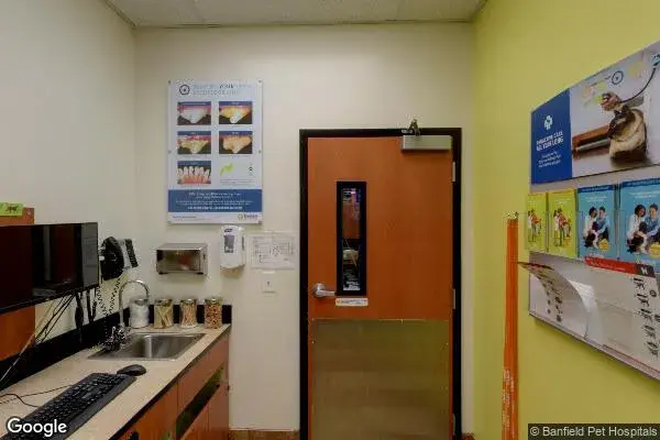 Dollar Tree in San Diego, CA