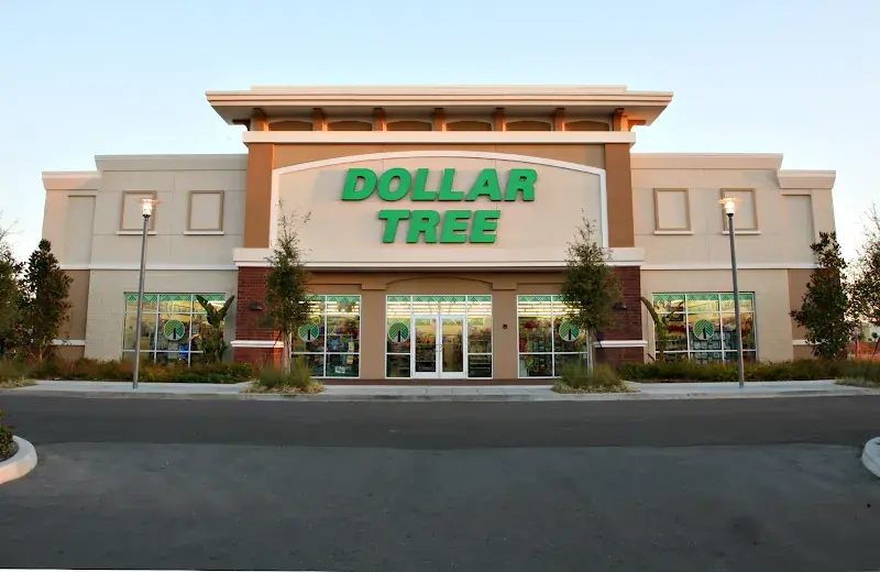 Dollar Tree in McAllen, TX